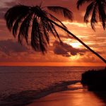 Beautiful silhouette of palm trees against a dramatic sunset at Playa Santa María, Cuba.